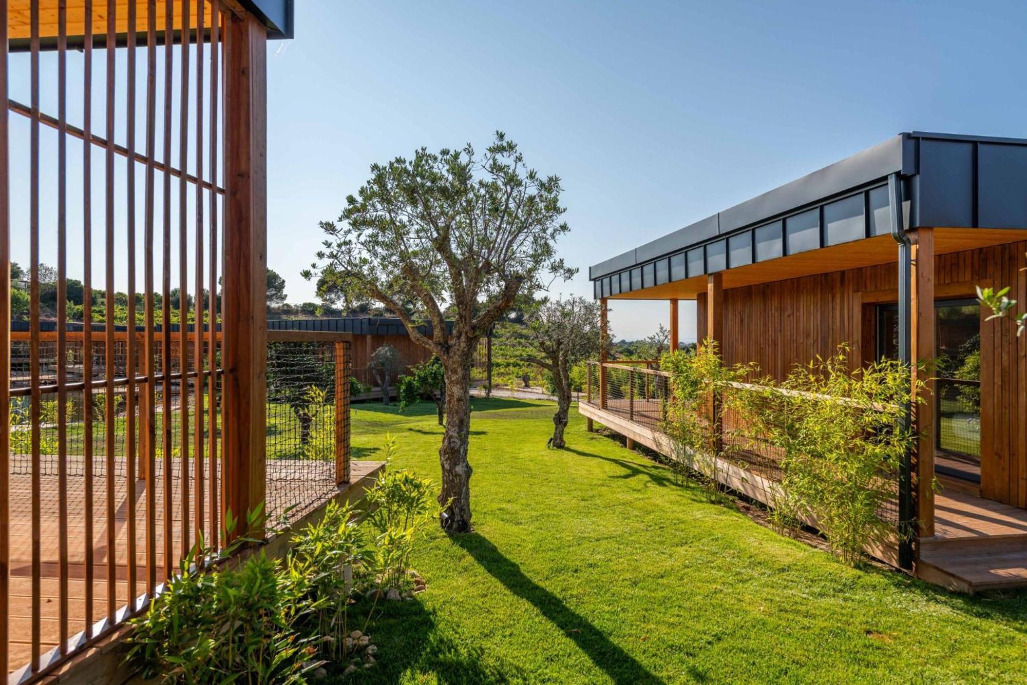 Wecamp Reserva Alecrim Santiago do Cacem Ngoại thất bức ảnh